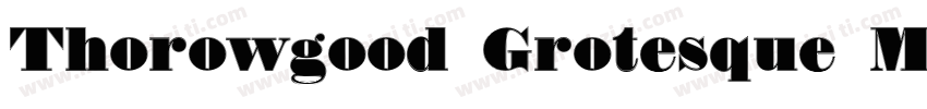 Thorowgood Grotesque Medium字体转换